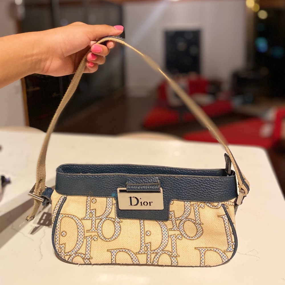 Dior trotter bag